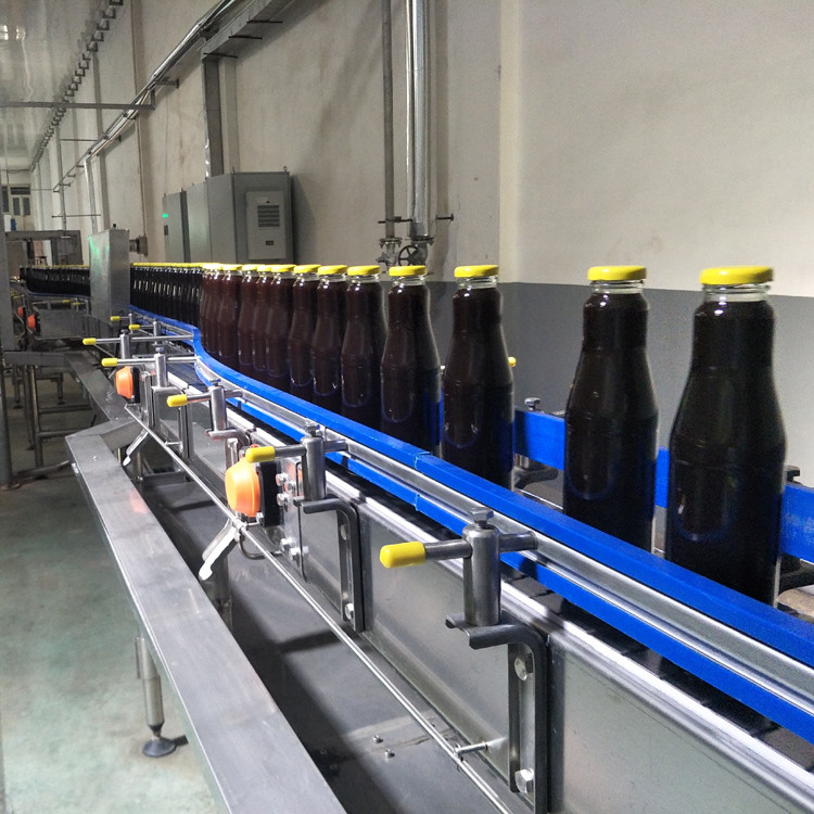 Automatic 5000BPH 500ml Bottle Rinsing Filling Capping Machine